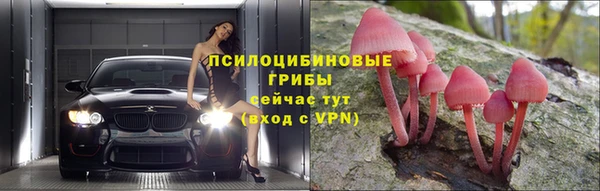 стафф Абаза