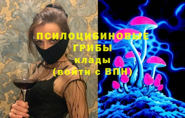 дмт Михайловск