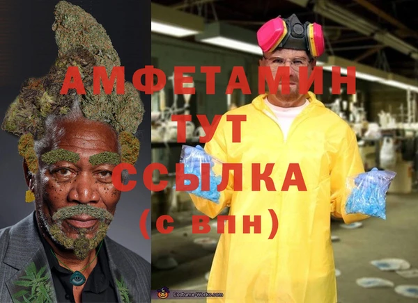 стафф Абаза