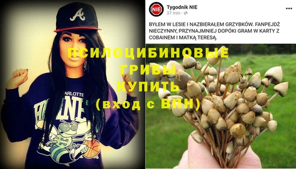 стафф Абаза