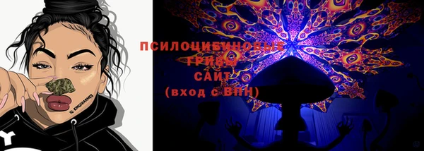 дмт Михайловск