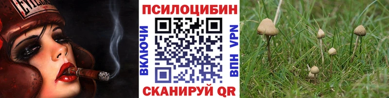 Галлюциногенные грибы Magic Shrooms наркота Уржум
